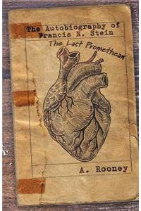 The Autobiography of Francis N. Stein