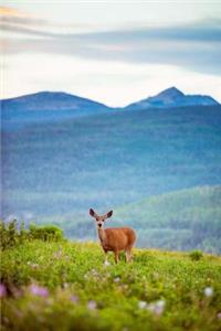 A Doe in a Wildflower Meadow Journal