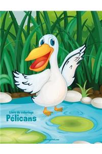 Livre de coloriage Pélicans 1