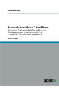 Strategische Kontrolle und Frühaufklärung