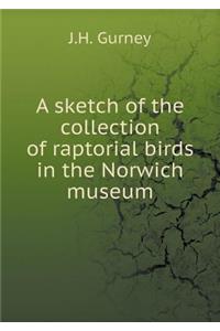 A Sketch of the Collection of Raptorial Birds in the Norwich Museum