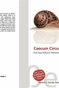 Caecum Circumvolutum