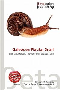 Galeodea Plauta, Snail