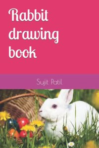 Rabbit drawing book