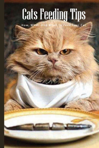 Cats Feeding Tips- How, What, And When To Feed Your Cat