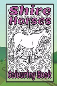 Shire Horses Colouring Book