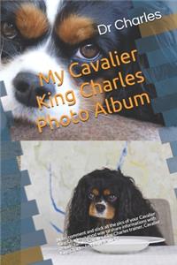 My Cavalier King Charles Photo Album