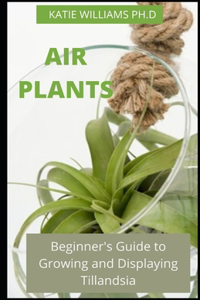 Air Plants