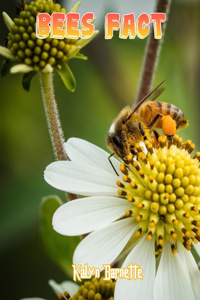 Bees Fact