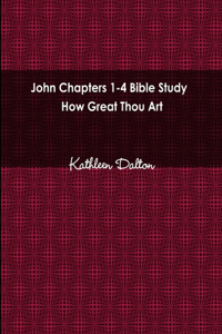 John Chapters 1-4 Bible Study How Great Thou Art