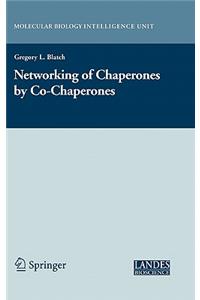 Networking of Chaperones by Co-Chaperones