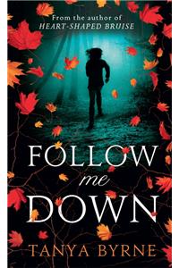 Follow Me Down