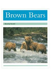Brown Bears