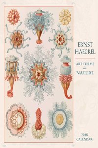 Haeckel/Art in Nature 2018 Wall Calendar