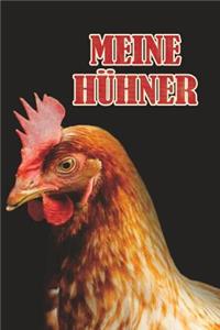 Meine Hühner