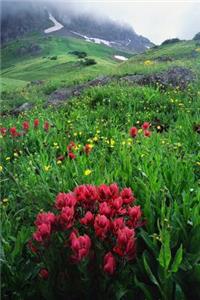 Nature notebook - best notebook with quotes, perfect 120 lined pages #9