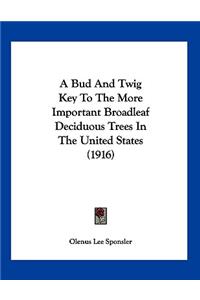 Bud And Twig Key To The More Important Broadleaf Deciduous Trees In The United States (1916)