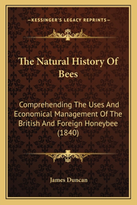 The Natural History Of Bees