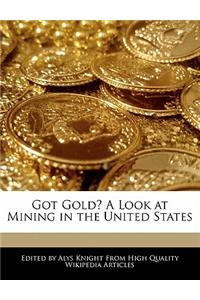Got Gold? a Look at Mining in the United States