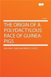 The Origin of a Polydactylous Race of Guinea-Pigs