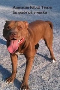 The American Pitbull Terrier - En Guide pa Svenska