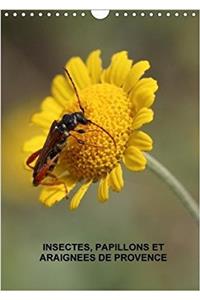 Insectes, Papillons Et Araignees De Provence 2018