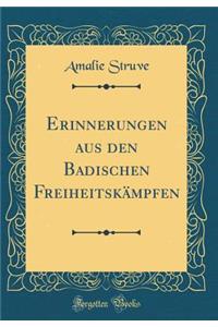 Erinnerungen Aus Den Badischen FreiheitskÃ¤mpfen (Classic Reprint)