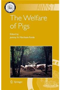 Welfare of Pigs