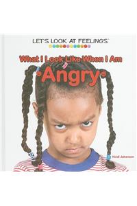 What I Look Like When I Am Angry