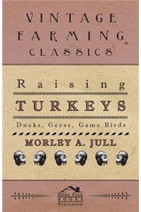 Raising Turkeys - Ducks, Geese, Game Birds