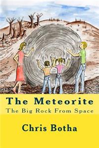 The Meteorite