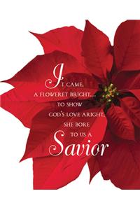 Savior Poinsettia Christmas Bulletin, Large (Pkg of 50)