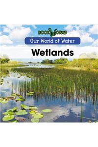 Wetlands