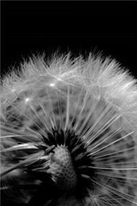Mind Blowing Black Back Dandelion 200 page lined journal