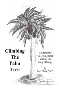 Climbing The Palm Tree