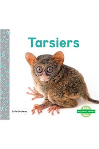 Tarsiers