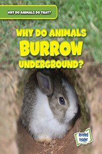 Why Do Animals Burrow Underground?