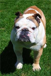 An English Bulldog Journal