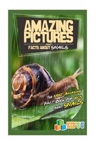 Amazing Pictures and Facts about Snails