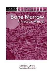 Bone Marrow