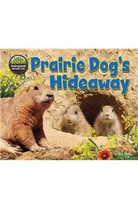 Prairie Dog's Hideaway