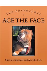 The Adventures of Ace The Face