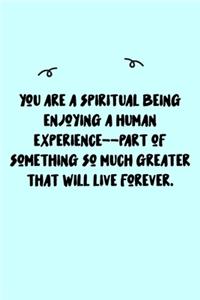 You are a spiritual being enjoying a human experience--part of something so much greater that will live forever. Journal