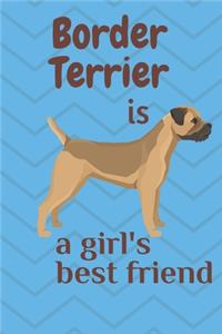 Border Terrier is a girl's best friend