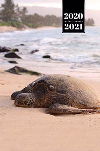 Sea Turtle Tortoise Terrapin Week Planner Weekly Organizer Calendar 2020 / 2021 - Sleeping on the Beach