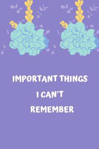 Important Things I Can't Remember