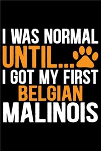 I Was Normal Until I Got My First Belgian Malinois