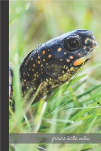 grass turtle notes