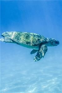Sea Turtle Out for a Swim Journal