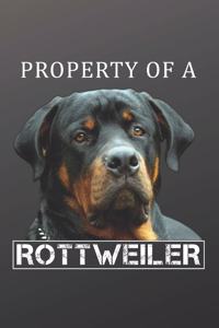 Property of a Rottweiler